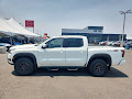2025 Nissan Frontier Crew Cab 4x4 PRO-4X